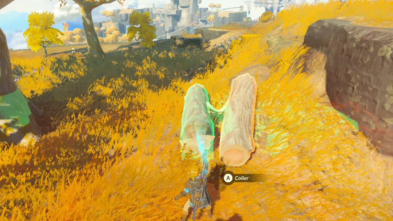 Link utilise le pouvoir Emprise